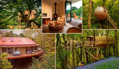 treehouses