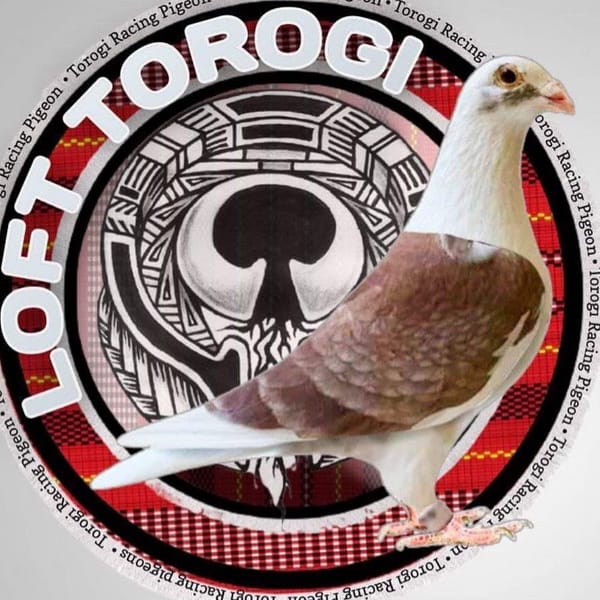 Torogi Lettering Design Contact LOFT TOROGi TV ‘JESDEN Pigeons - Creator and Influencer