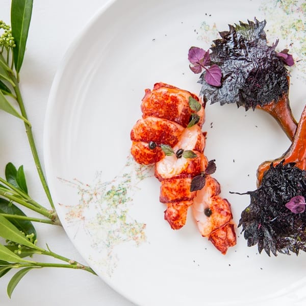 which-chefs-have-the-most-michelin-stars