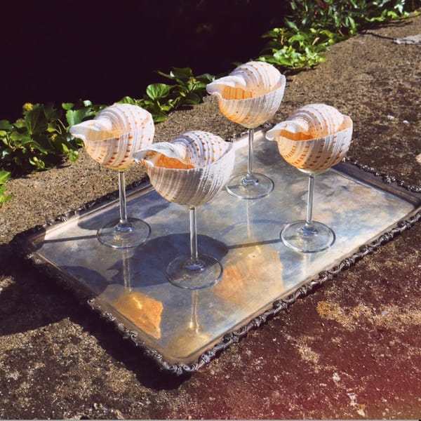 shell cocktail glasses