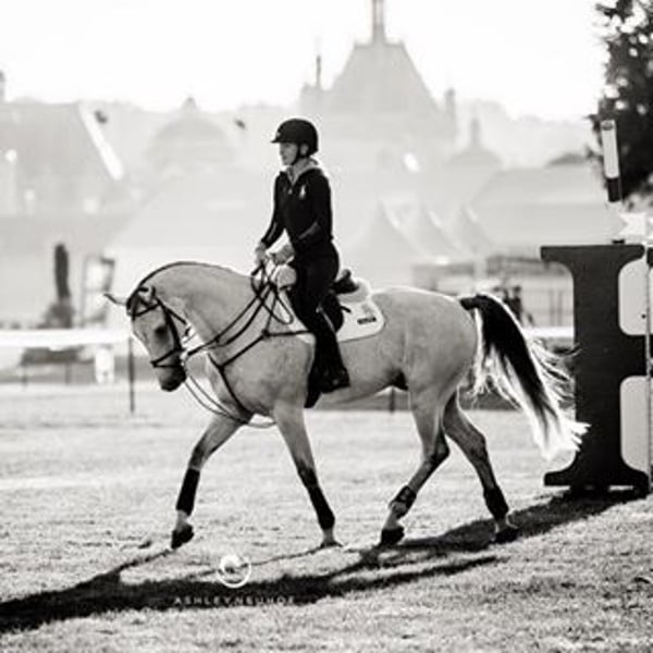 Jessica Springsteen