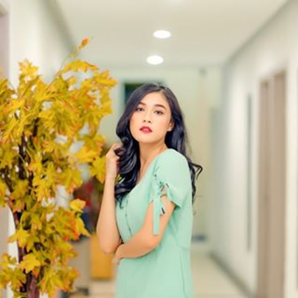 Novi Herlina