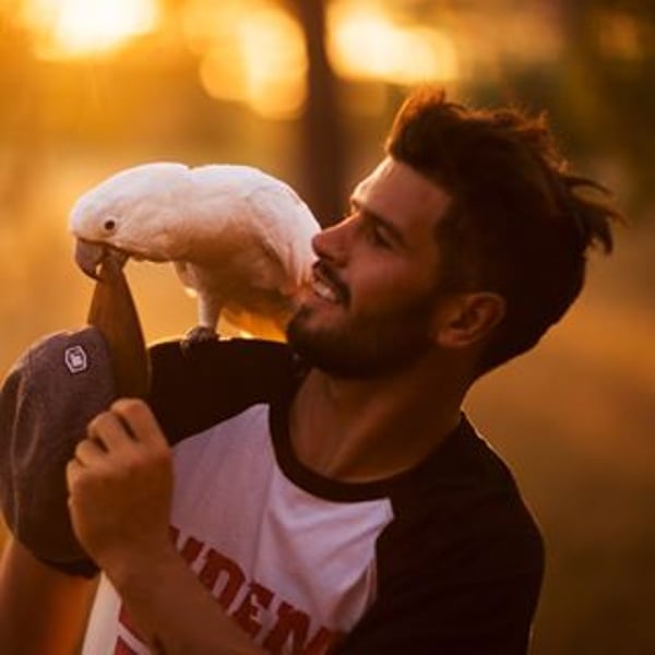 Antoni Villoni