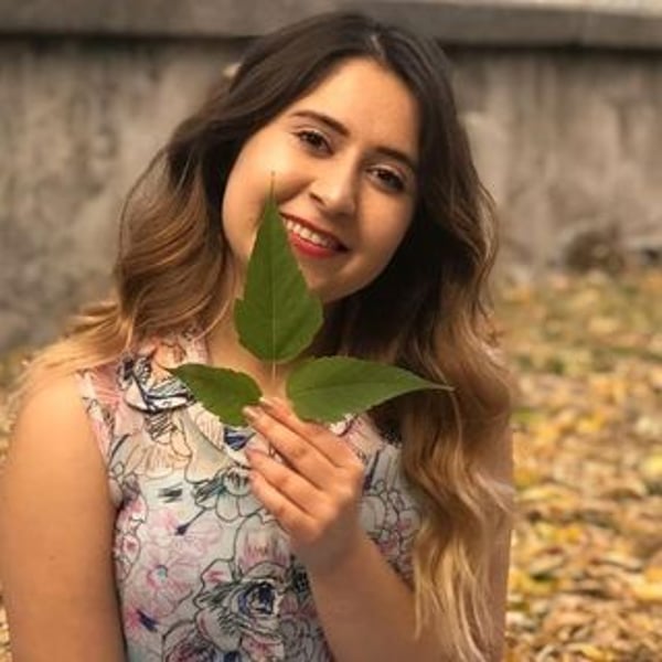 Aysegul Ergun