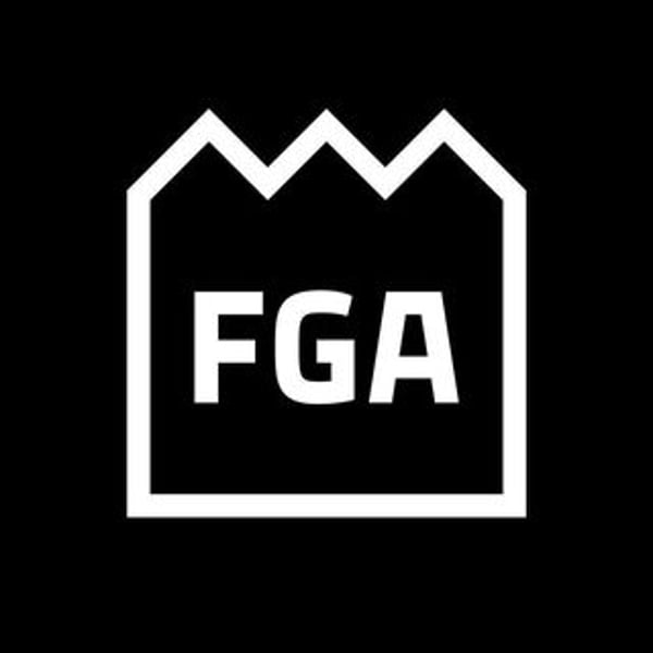 Fga Street Art Platform