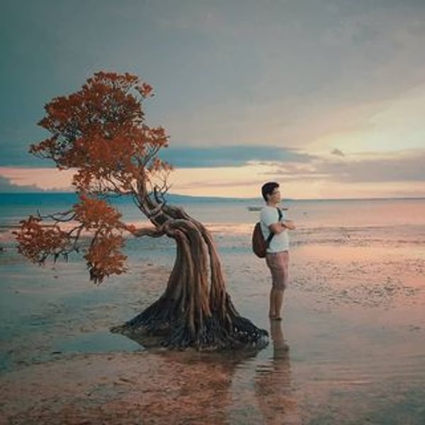 Mamad Wijaya