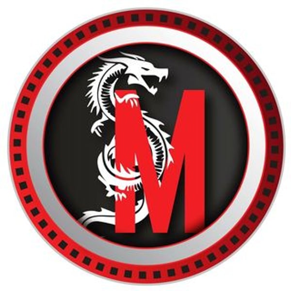 Martial Arts Action Cinema
