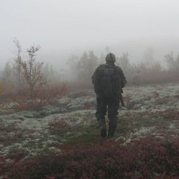 Wild Northern Rocks