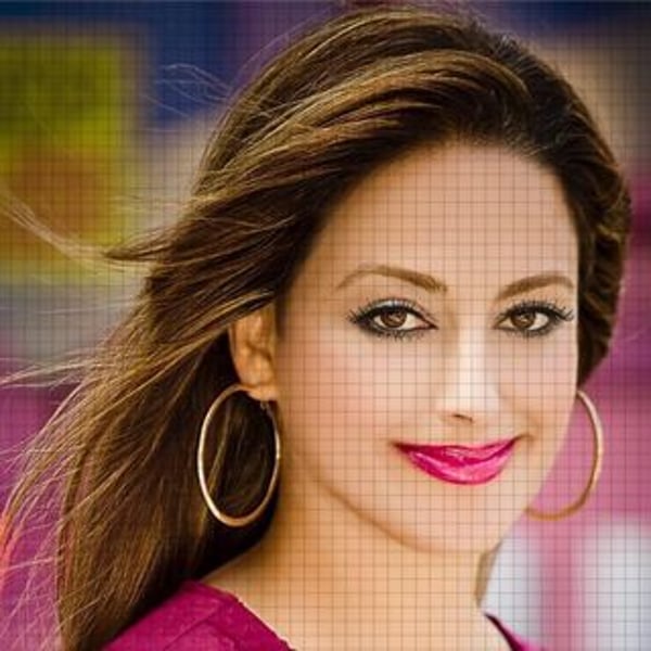 Farnaz Zendehdel