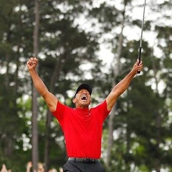 Vintage Tiger