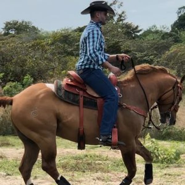 Oscar Ramos Jiron