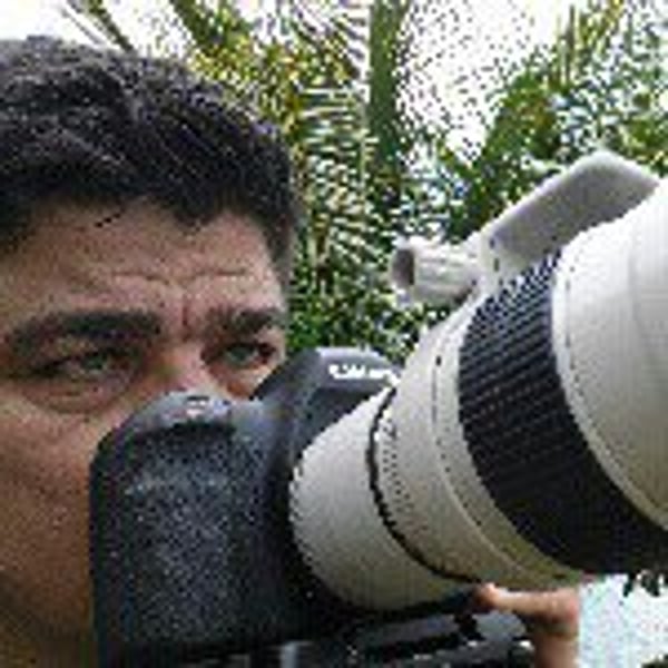 Lino Moraes