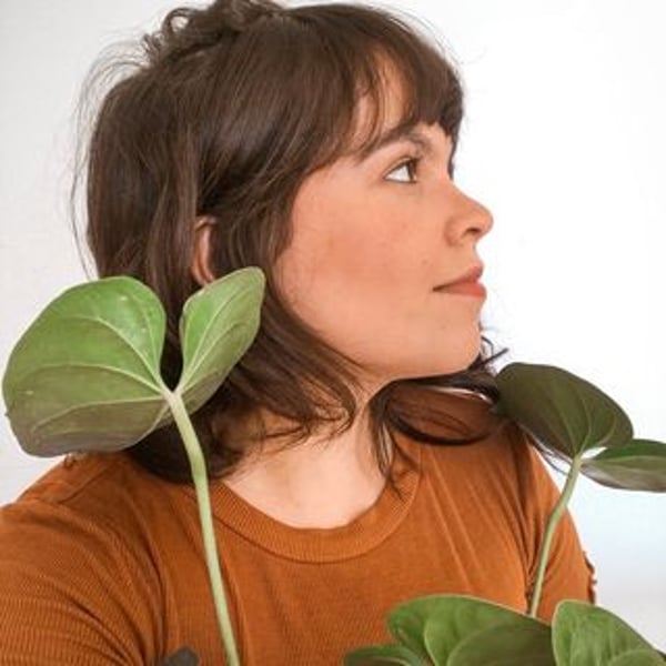 Ellen Cortizo