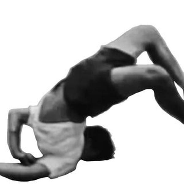 Adobe Acrobat