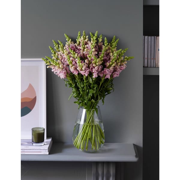 Lavender Snapdragon Bouquet