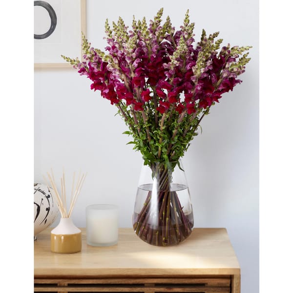 M&S Red Snapdragon Bouquet