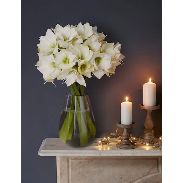 Wintery White Amaryllis Flowers Bouquet