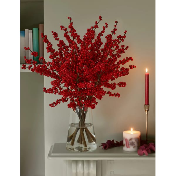 Ilex Berries Abundance