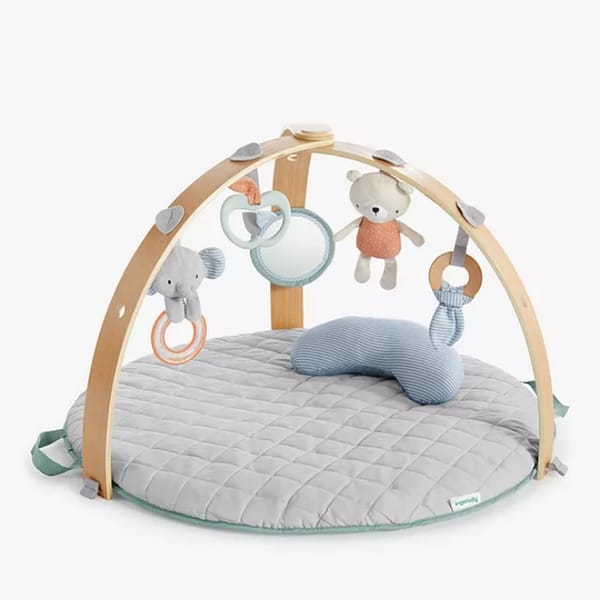 Ingenuity Cozy Spot Reversible Activity Gym