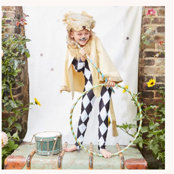 Lion Costume