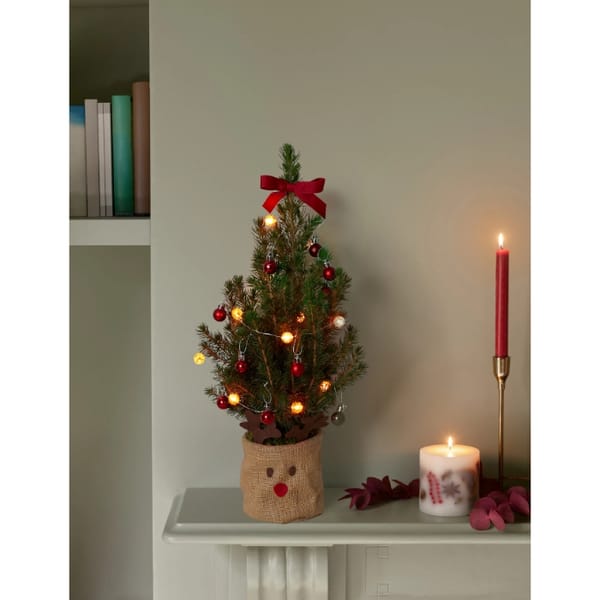 Novelty Letterbox Tree with Lights