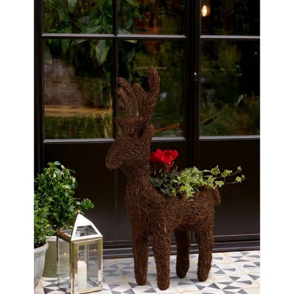 Outdoor Reindeer Cyclamen Planter