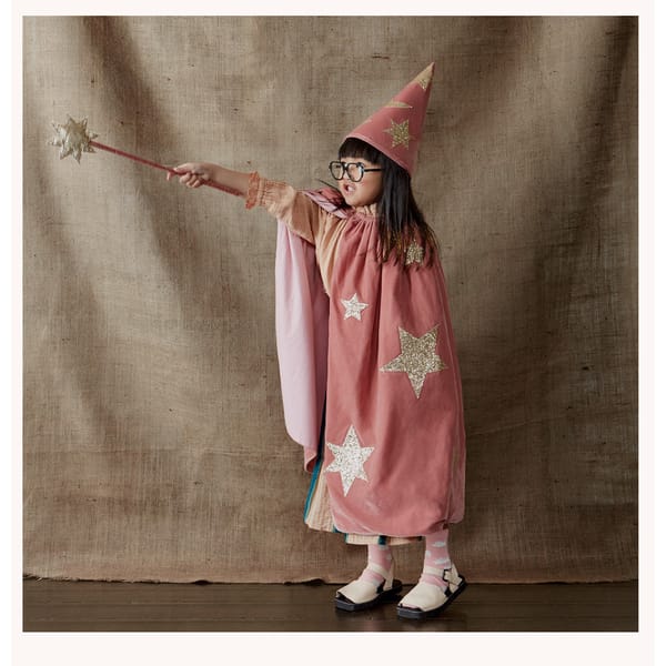 Pink Velvet Wizard Costume