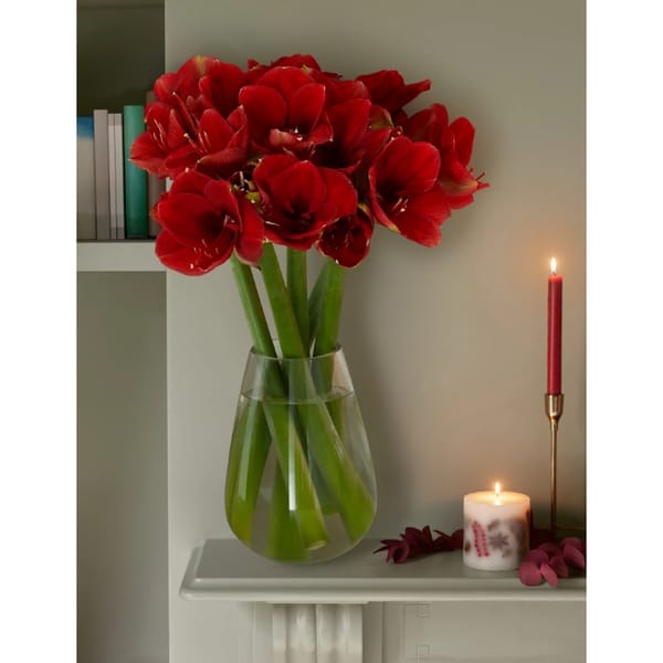 ruby red