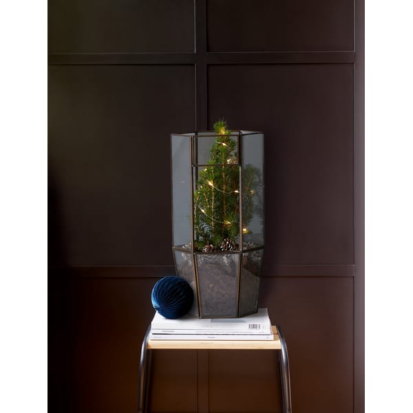 Make Your Own Light Up Tree Terrarium