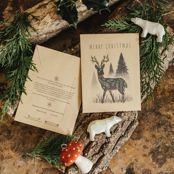 10 Deer Seed Packet Christmas Cards