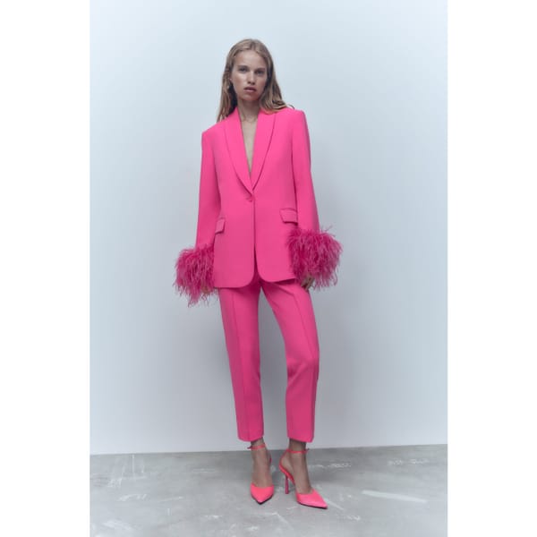 zara STRAIGHT BLAZER WITH FEATHERS and trousers