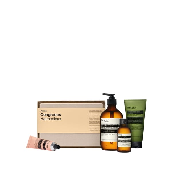 AESOP Elaborate Body Kit - Congruous