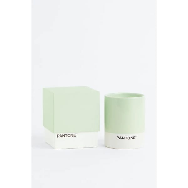 Scented candle in a holder in light green _ eucalyptus verbena
