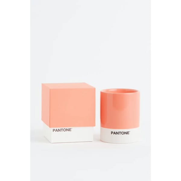 Scented candle in a holder in light orange _ yuzu blossom