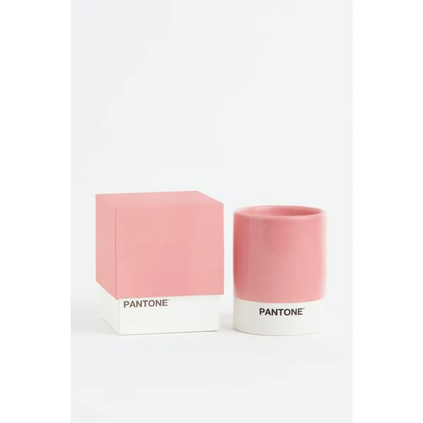 Scented candle in a holder in light pink _ salted sea