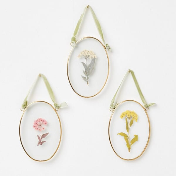 oliver bonas Gold _ Glass Pastel Dried Flower Wall Hangings Set of Three