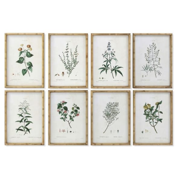 mde in charme Botanical Picture w_Bamboo Frame