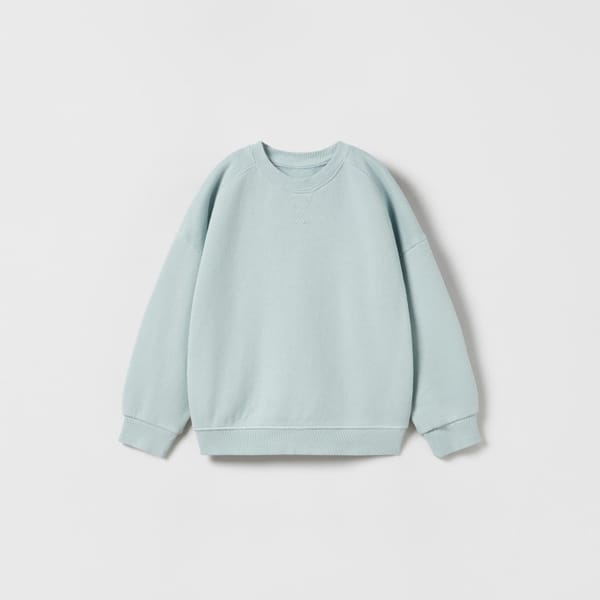 zara RAGLAN-SLEEVE SWEATSHIRT WITH SEAMS