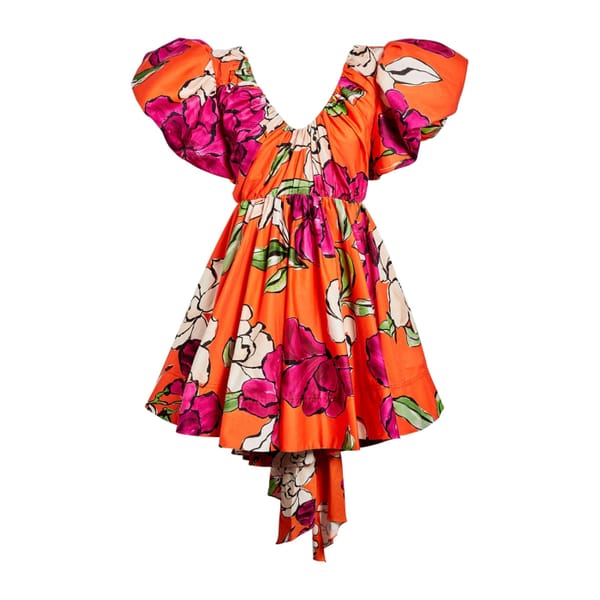 AJE Floral Gretta Mini Dress- australian fashion brands
