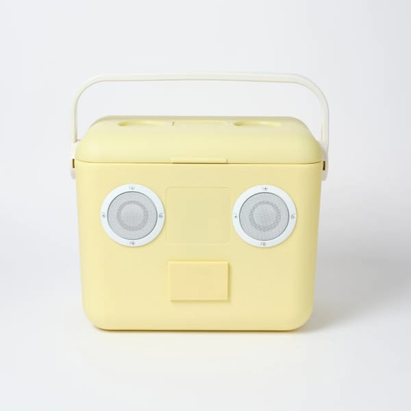 sunnylife Beach Cooler Box Sounds - what to take to a festival