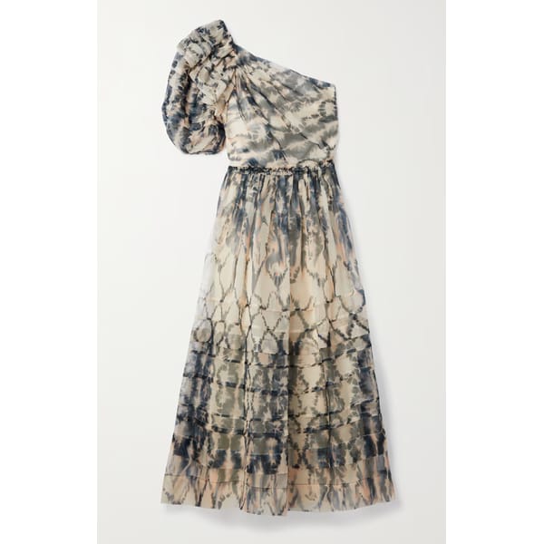 One Shoulder Ruffled Printed Silk Chiffon Midi Dress