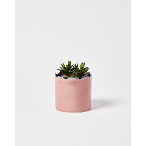 Belmot Wavy Pink Ceramic Scalloped Plant Pot