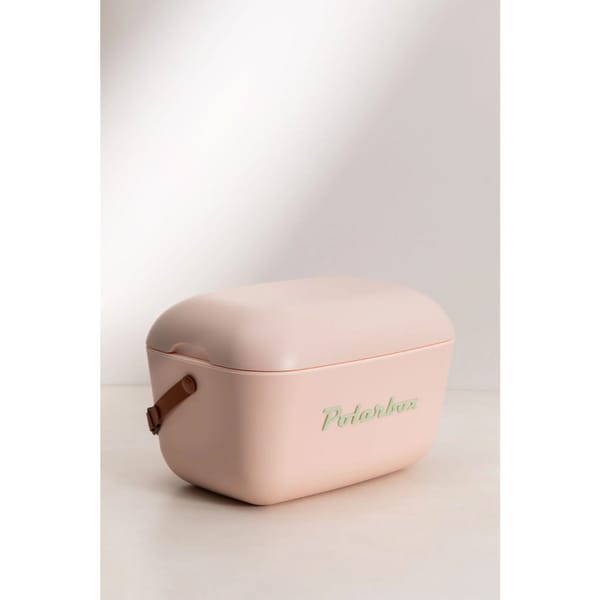 Portable Cooler 20L