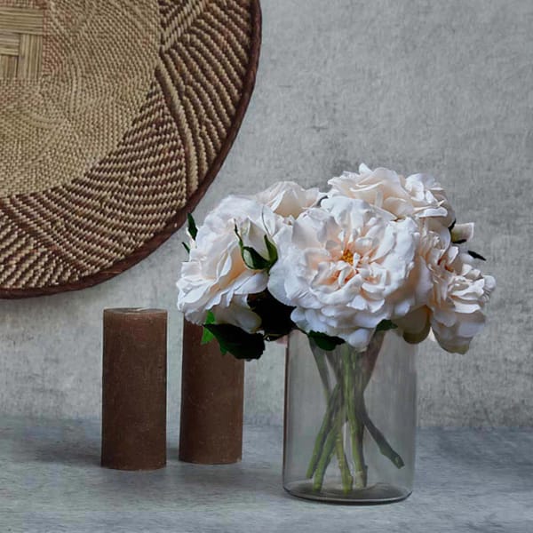 Rosa Vanilla Bundle