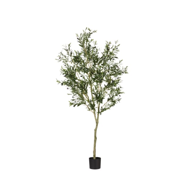 Faux Large Potted Olive Tree - Black