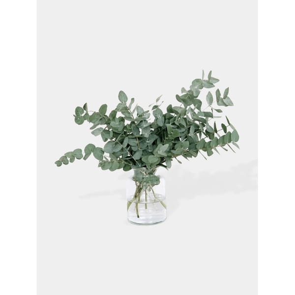 A Botanical Bunch