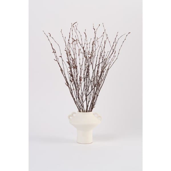 Birch