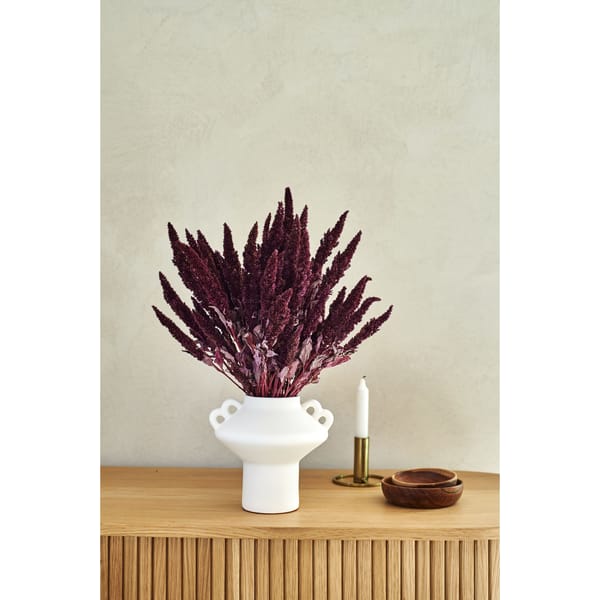 amaranthus stems in vase