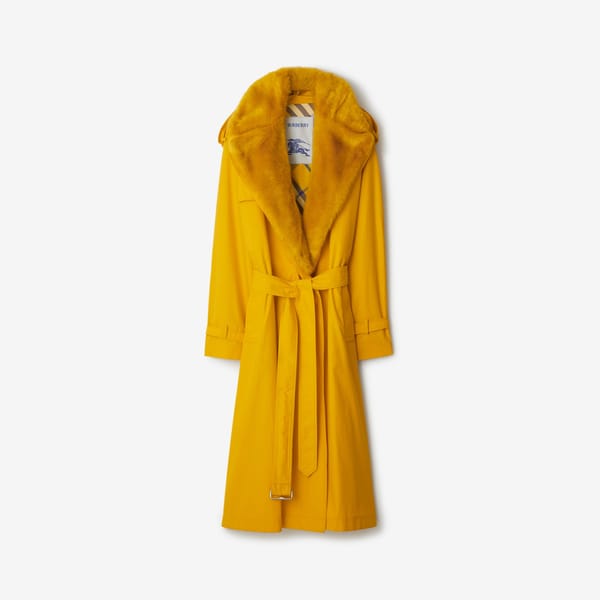 burberry autumn winter