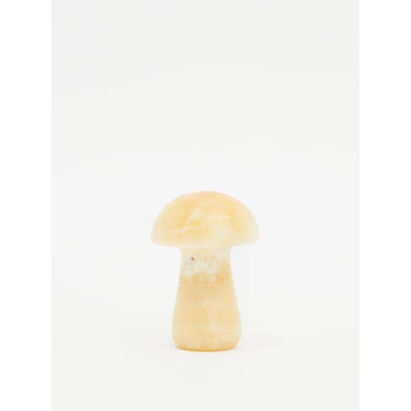 Herbar Gua-Shroom Large - Calcite